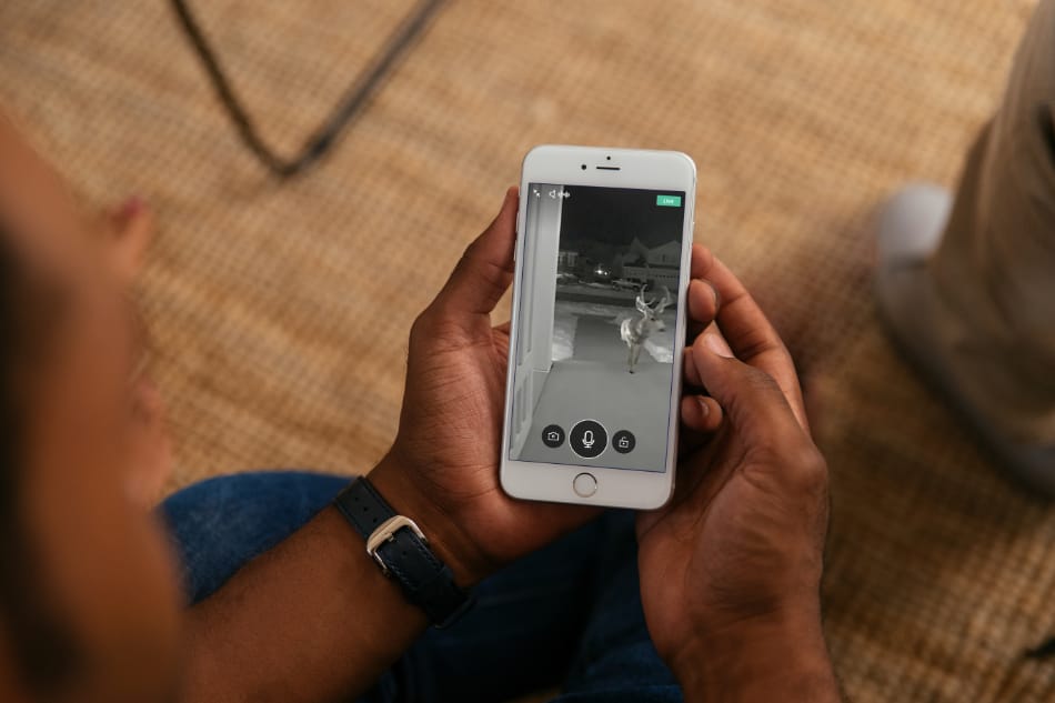 Savannah MO security system